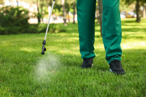 Best Wasp Removal Services  in Brighton, TN