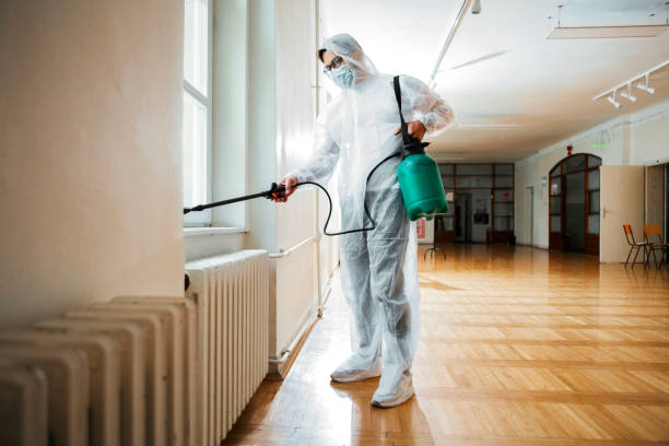 Best Mosquito Control Services  in Brighton, TN