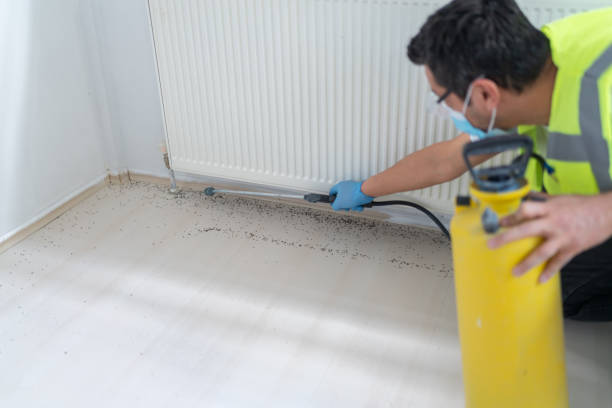 Best Commercial Pest Control Services  in Brighton, TN