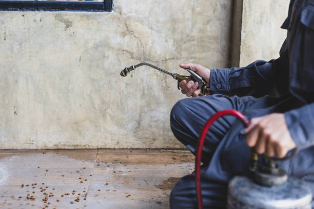 Best Best Pest Control Companies  in Brighton, TN